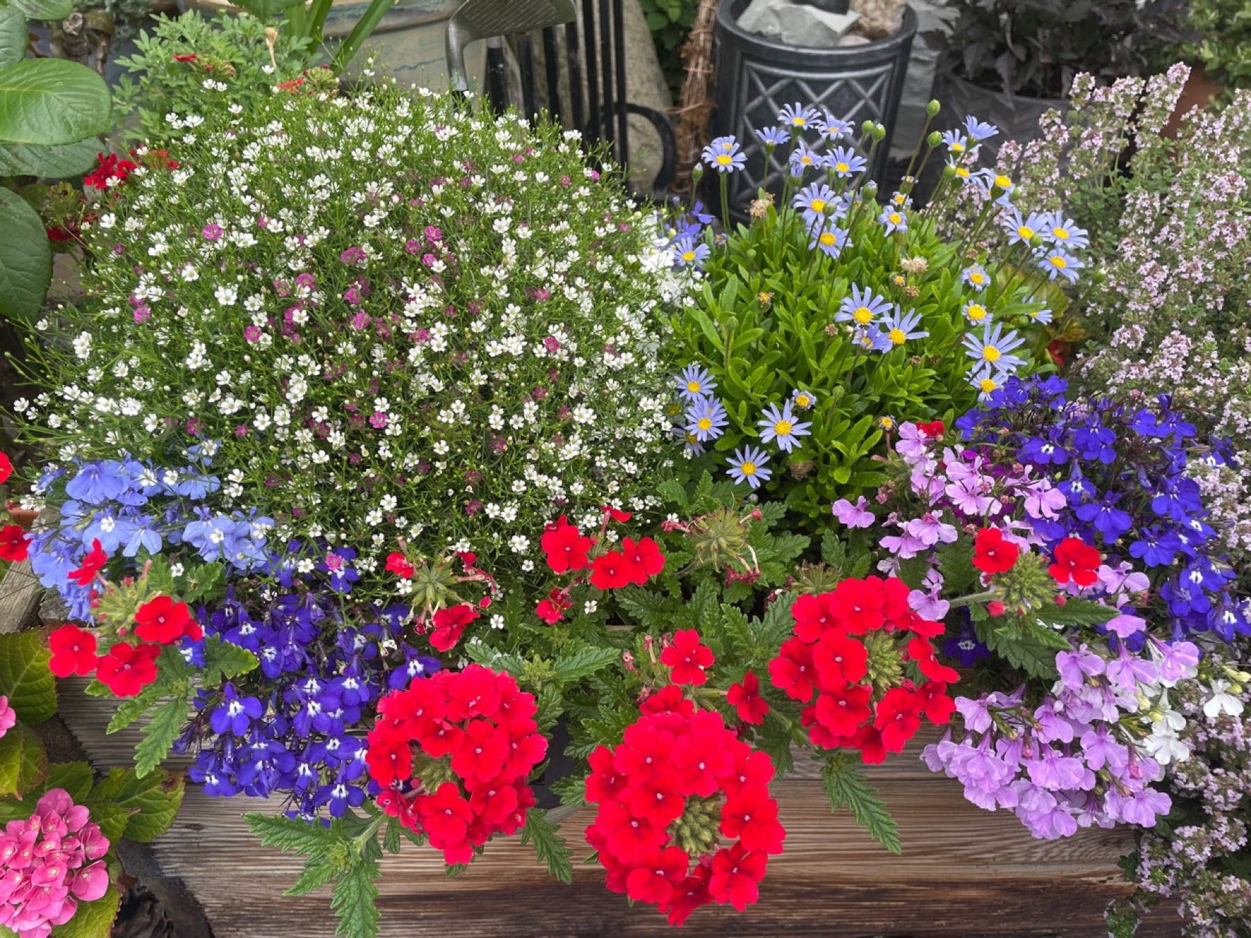 A summer flower box filled with red, blue, white and purple flowers.