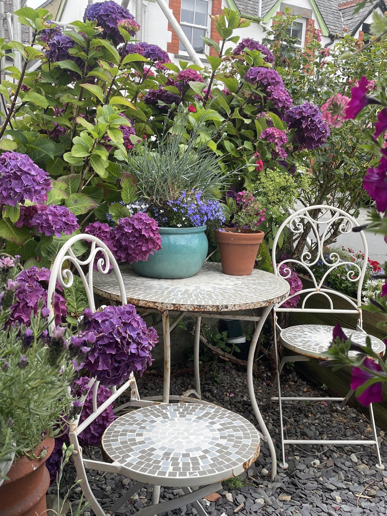 A small white garden table surrounded by purple hydrangeas and potted flowers.