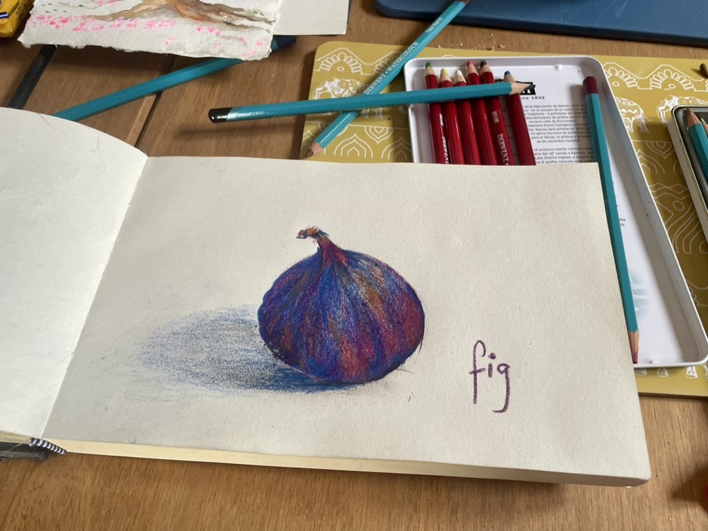 A sketchbook open on a worktable showing a coloured-pencil fig study with pencils and art materials around it.