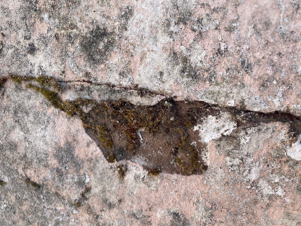 Close-up of cracked old wall surface with moss and weathered mortar.