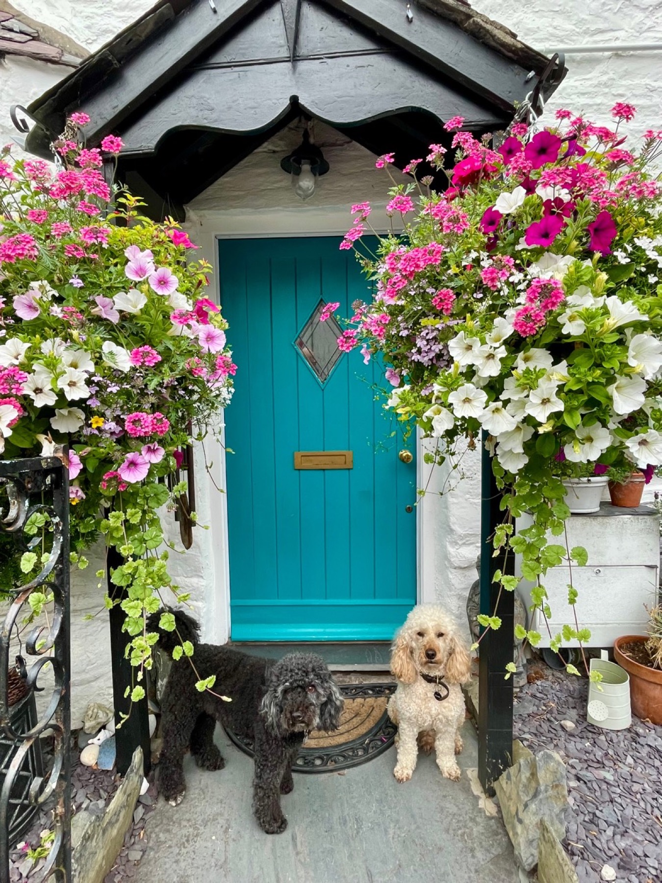 Stan and Alfie sitting beneath summer flowers at the blue cottage door.