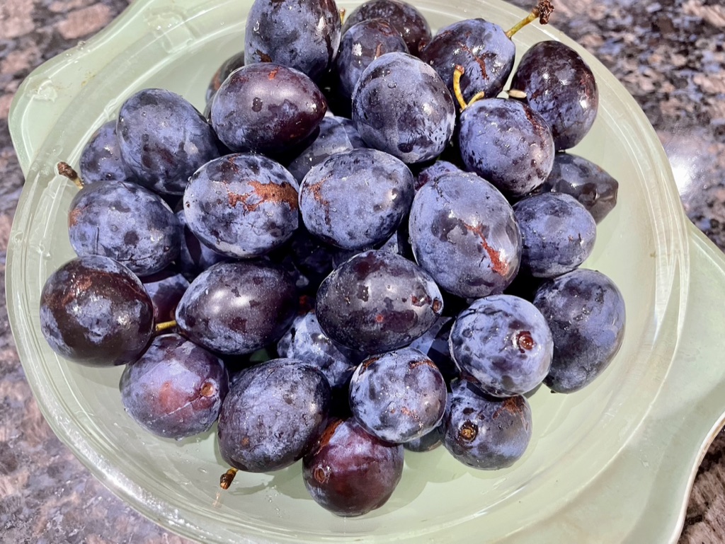 Fresh purple plums piled in a pale green bowl.