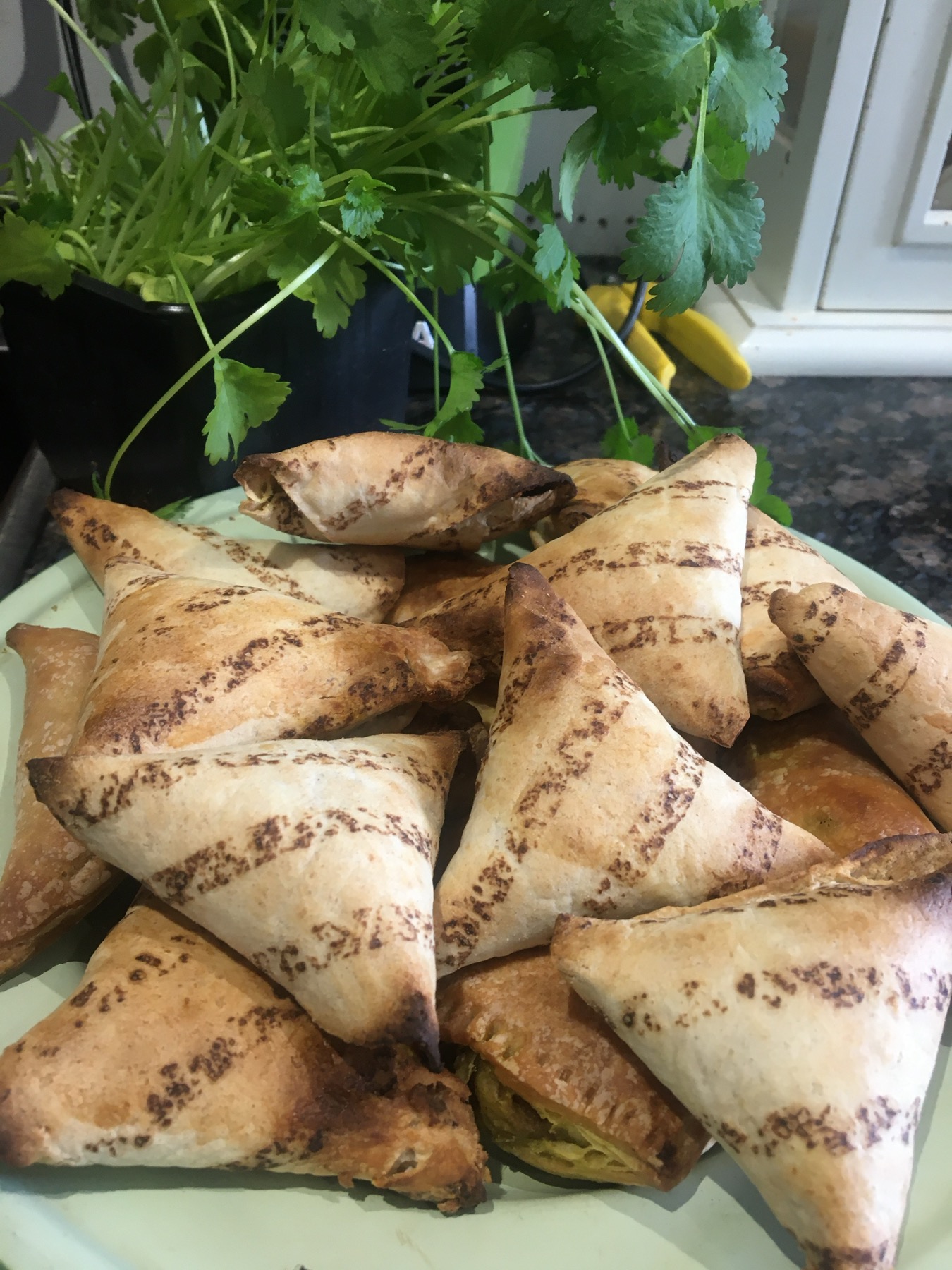 Spicy vegetable tortilla samosas piled on a plate with fresh coriander behind them.